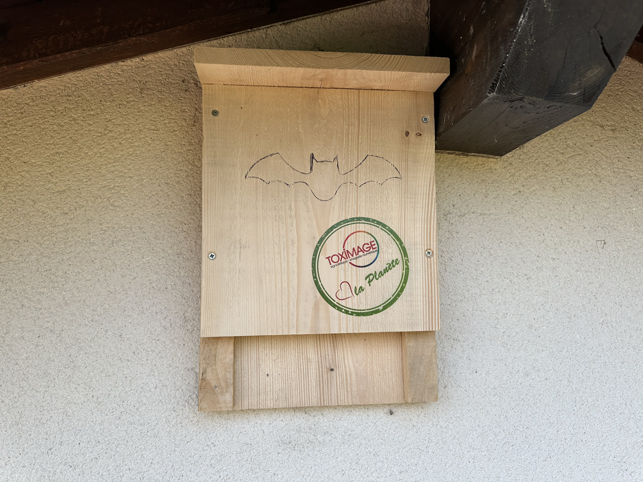 Installation d'un abri à chauve-souris.