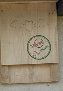 Installation d'un abri à chauve-souris.