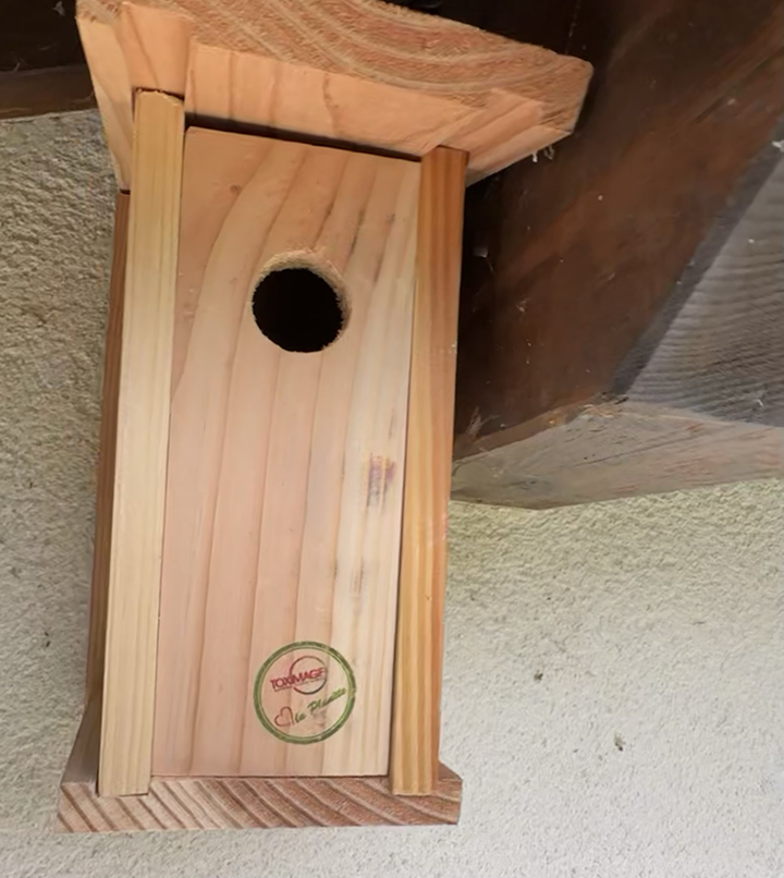Installation d'un nichoir à mésanges.